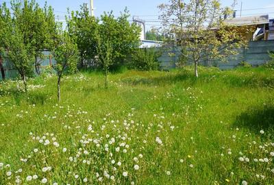 Teren Construcții intravilan de 4076 mp, în Sarasău - 7