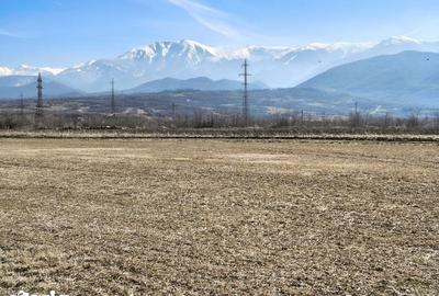 Teren de 2800 mp, în Turnu Roșu - 18