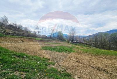 Teren Construcții intravilan de 2910 mp, în Chirițeni - 1