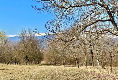 Casă cu 4 camere în Valea Rumâneștilor - 1