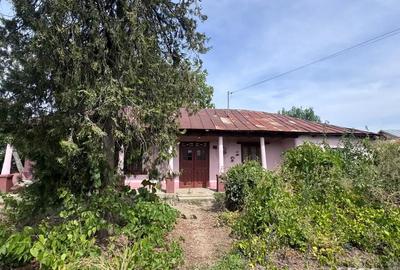 Casă cu 5 camere cu Teren 1000 Mp în Ghimpați - 1