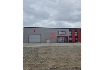 Depozit/hala/spatiu industrial Chiajna - Chitila - Rudeni - 16