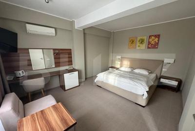 Hotel/Pensiune, 6 camere, 1700 mp, zona Hanul Doctorului - 10