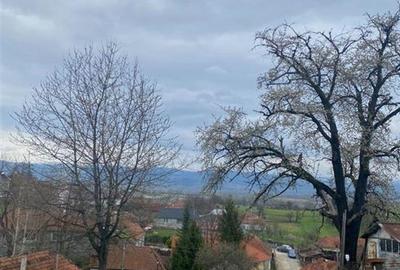 Teren intravilan de 4669 mp, în Dobricionești - 4