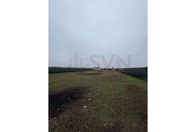 Teren agricol intravilan de 3971 mp, în Vidra - 9