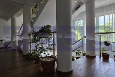 Casă individuală cu 7 camere cu Canalizare în Vatra Luminoasă - 17