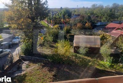 Casă cu 7 camere cu Teren 775 Mp în Cocorăștii Colț - 3