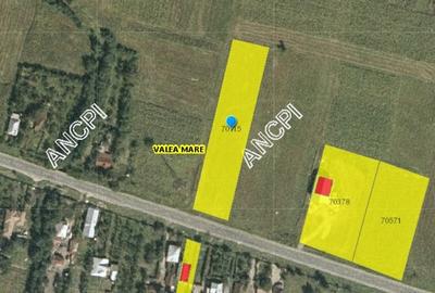 Teren agricol intravilan de 3931 mp, în Valea Mare - 2