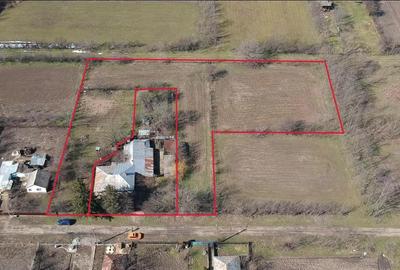 Casă individuală cu 5 camere cu Teren 5588 Mp în Bordeasca Nouă - 10