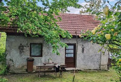 Casă în Telega - 1