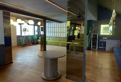 Spațiu comercial, de 236 mp, în Grădina Icoanei - 5