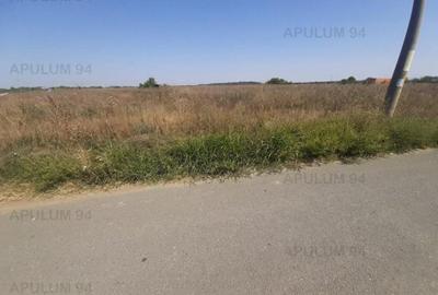 Teren pentru case in 1 Decembrie - 2