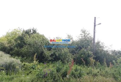 Casă cu 16 camere cu Teren 1745 Mp în Unirii - 6