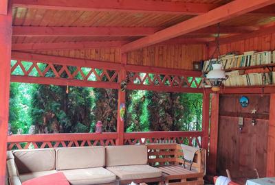 Casă cu 4 camere în Sighetu Marmației - 9