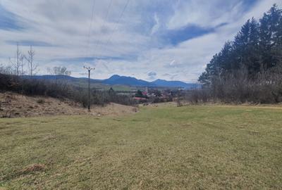 Teren agricol extravilan de 3600 mp, în Tărlungeni - 2