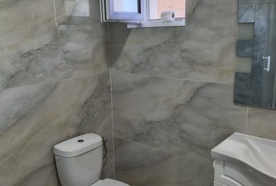 Casă cu 3 camere cu Teren 250 Mp în Remetea Mare - 10