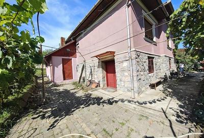 Oportunitate afacere pensiune, casa mare in aproprierea Castelului Corvinilor, Hunedoara - 3