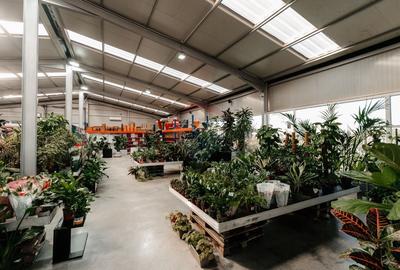 Spatiu industrial de 457mp de vanzare in zona Calea Santandrei - 8