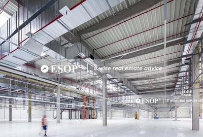 CTPark Arad II, hale in parc industrial, 0% comision, 3.000-21.000mp - 2