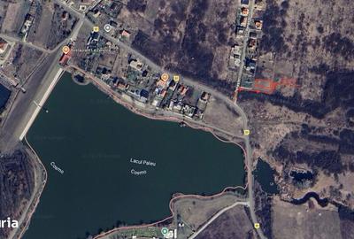 Spațiu comercial, în Paleu