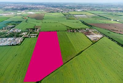 Teren cu PUZ ideal pentru parc logistic și de servicii - 4