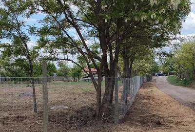 Teren de 547 mp, în Sabangia - 1