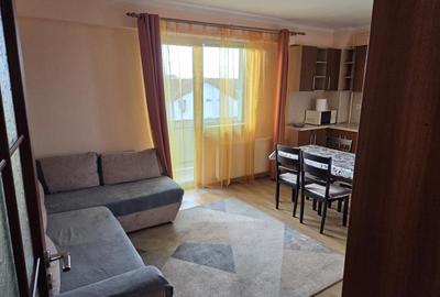 Apartament cu 3 camere decomandat în Turnișor - 4