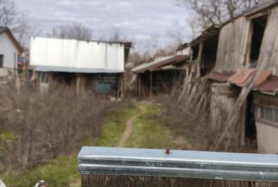 Casă cu 4 camere cu Teren 1340 Mp în Băneasa - 3