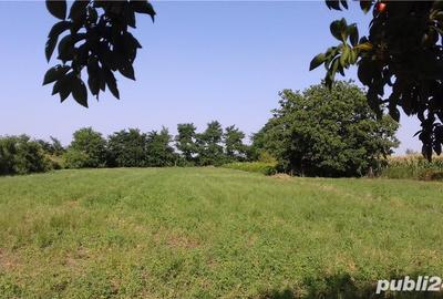 Casă cu 4 camere cu Teren 6.8 Mp în Glodeanu-Siliștea - 5