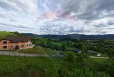 Casa de vanzare - Bistrita, zona Alexandru cel Bun - 4