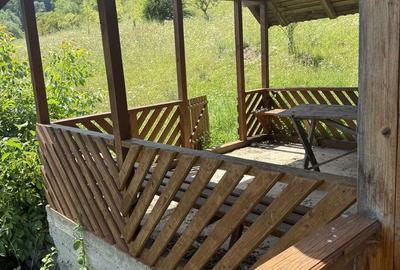 Casă cu 4 camere cu Teren 11000 Mp în Săliște - 7