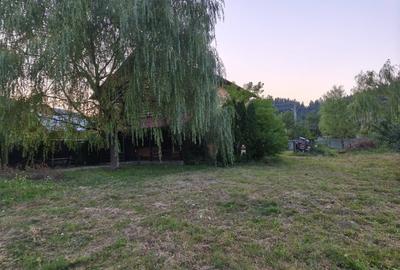 CASA  DE VACANTA - 18