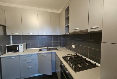 Apartament cu 2 camere semidecomandat, mobilat în Lipovei - 10
