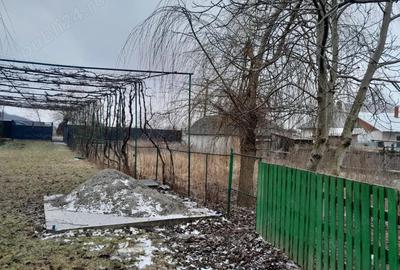 Casă cu 2 camere în Central - 6