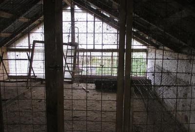Casă cu 3 camere cu Teren 2900 Mp în Vețel - 7