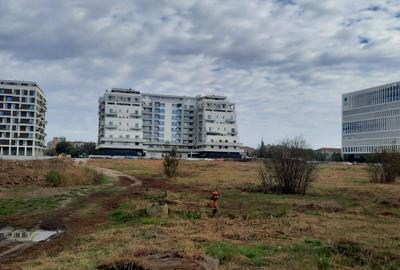 Teren Torontalului/Vox - duplex/individuala - 1