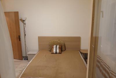 Inchiriere Apartament 3 camere Crangasi - 5