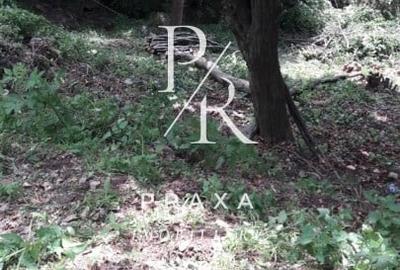 Teren Construcții extravilan de 10000 mp, în Măguri-Răcătău - 14