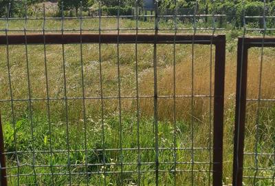 Casă cu 3 camere în Bârsești (Mihăești) - 7