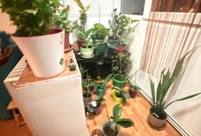 Vând apartament cu 2 camere Lipovei 88000 euro - 5