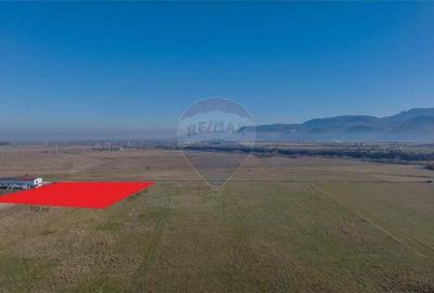 Teren 11,600mp Ra?nov / DN 73 zona Tabara, bonus un teren de 3000 mp - 2