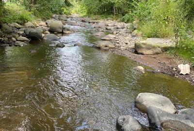 Casa de vanzare in sat Sarbi com.Budesti.Traieste linistea satului autentic maramuresan! - 5