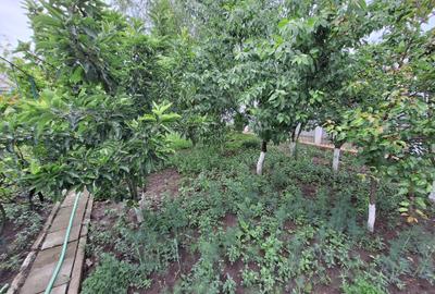 Casă cu 5 camere cu Canalizare în Central - 7