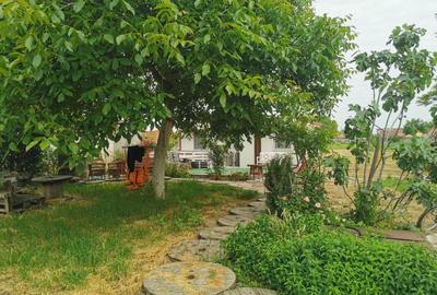 Casă cu 3 camere cu Teren 2000 Mp în Turnu - 7