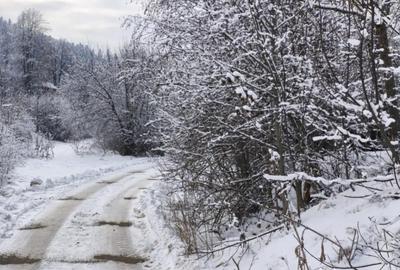 Teren de 22600 mp, în Sucevița - 2