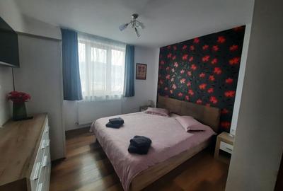 Apartament cu 2 camere decomandat, mobilat în Calea Romanului - 3