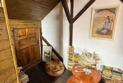 Apartament cu 2 camere nedecomandat în Parcul Carol - 4