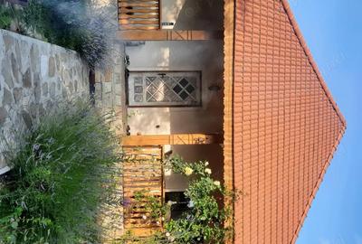 Casă cu 4 camere cu Teren 1415 Mp în Drajna - 5