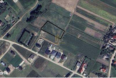 Teren de 2479 mp, în Dărmănești - 2