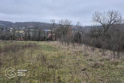 Teren intravilan, 2880 mp, comuna Sistarovat - 1